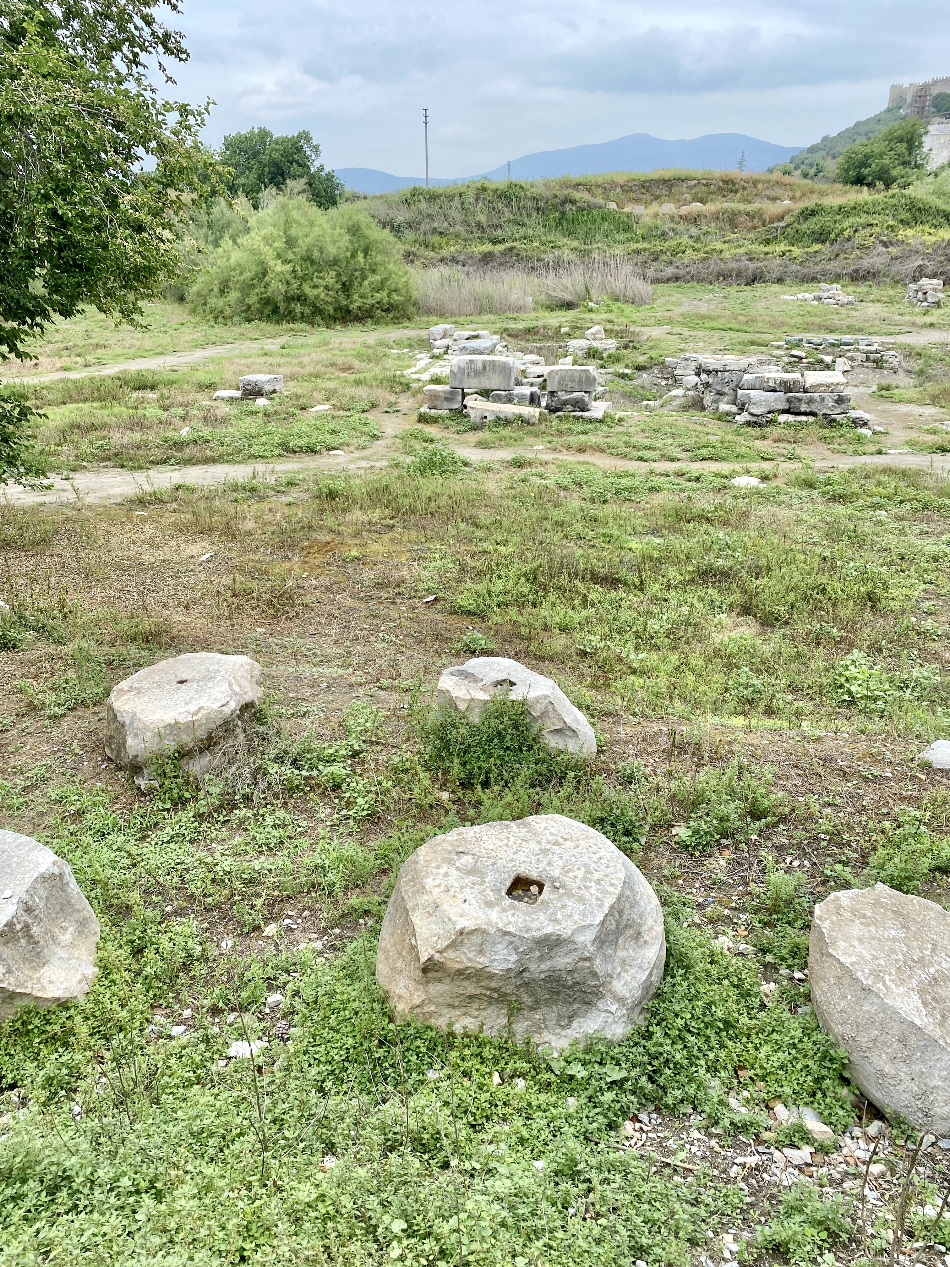 Photographie des ruines du temple d'Artémis d'Éphèse, montrant des blocs au sol et une colonne remontée au milieu des vestiges.